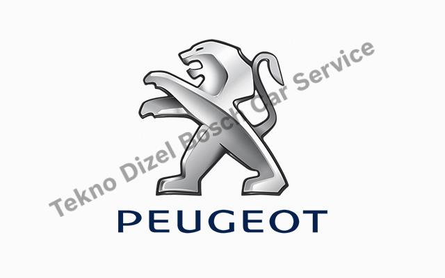 Başakşehir Peugeot Servisi